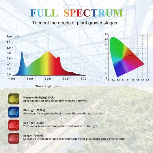 Spider LED Grow Lights for Weed — Den ultimate løsningen for effektiv cannabi...